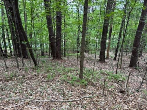 56 Brattleboro Rd, Bernardston - $50,000